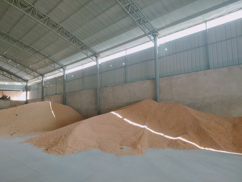 中國銀行甘肅省分行 精準服務(wù)涉農(nóng)企業(yè)發(fā)展 高效助力 和美鄉(xiāng)村 創(chuàng)建