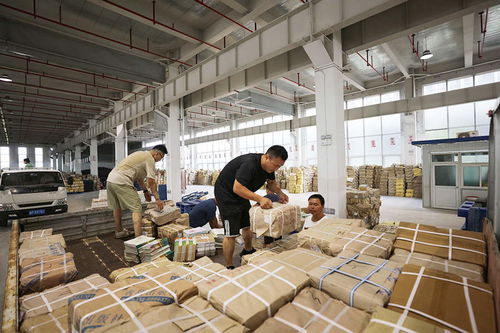 組圖丨備教材,迎開學(xué)